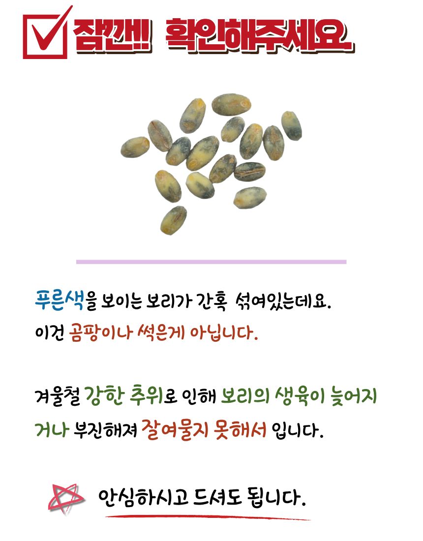 냉해입은 보리문구.jpg